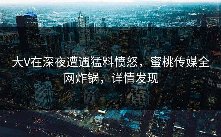 大V在深夜遭遇猛料愤怒，蜜桃传媒全网炸锅，详情发现