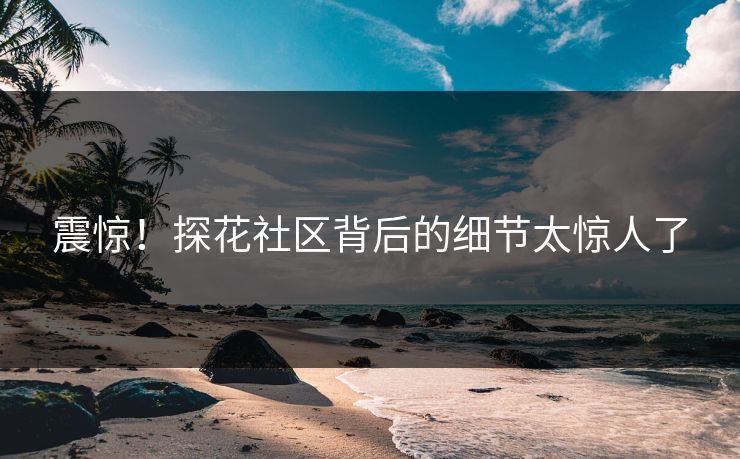 震惊！探花社区背后的细节太惊人了