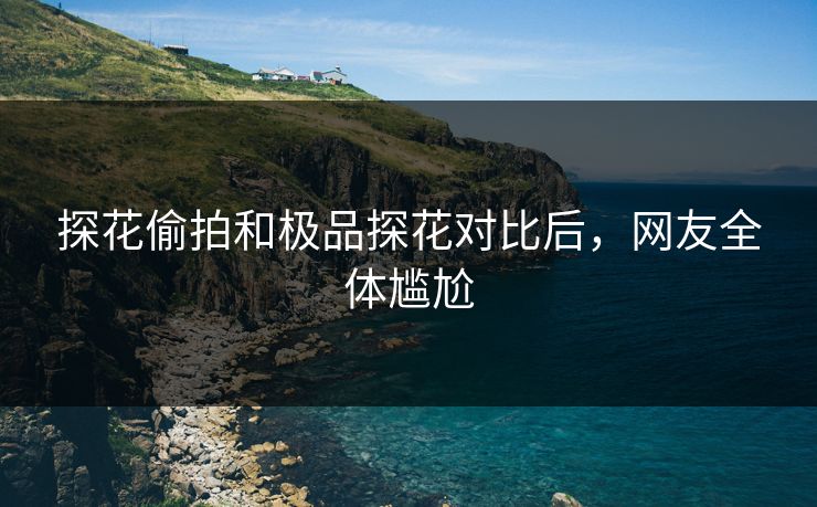 探花偷拍和极品探花对比后，网友全体尴尬