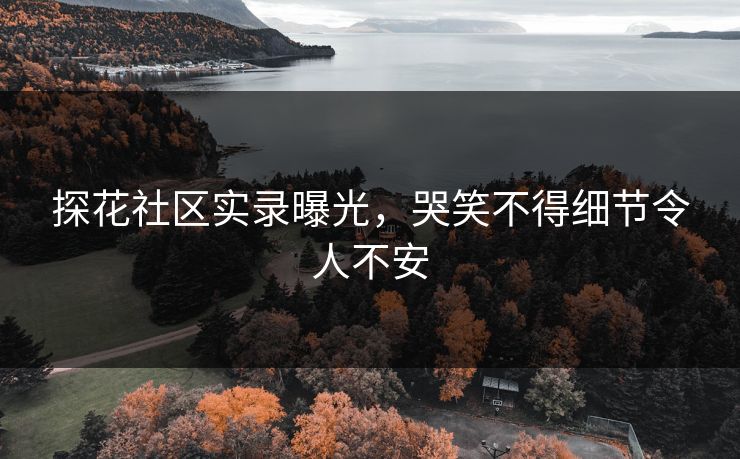 探花社区实录曝光，哭笑不得细节令人不安