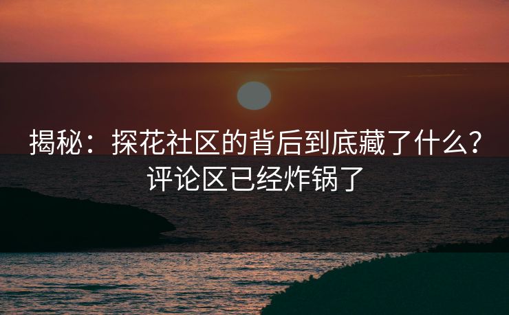 揭秘：探花社区的背后到底藏了什么？评论区已经炸锅了