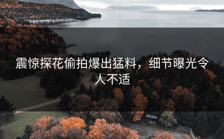 震惊探花偷拍爆出猛料，细节曝光令人不适