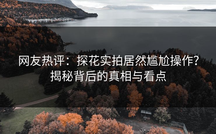 网友热评：探花实拍居然尴尬操作？揭秘背后的真相与看点