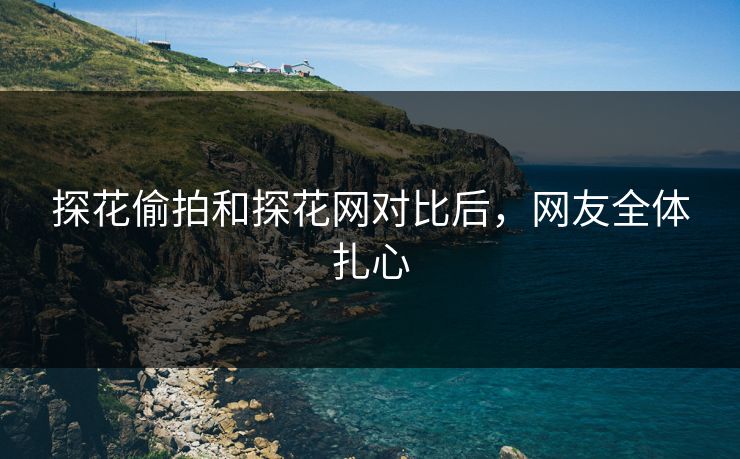 探花偷拍和探花网对比后，网友全体扎心