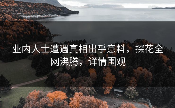 业内人士遭遇真相出乎意料，探花全网沸腾，详情围观