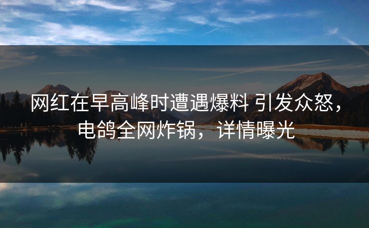网红在早高峰时遭遇爆料 引发众怒,电鸽全网炸锅,详情曝光 网红在早高峰时遭遇爆料 引发众怒,电鸽全网炸锅,详情曝光
